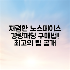 가장 저렴한 노스페이스 경량패딩 구매법, 알려줄 수 있을까?