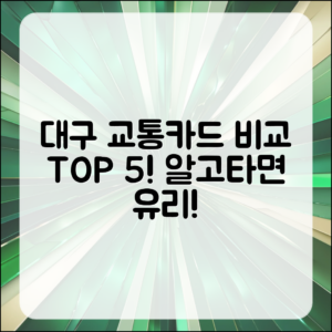 대구 지역별 교통 카드 비교 5가지
