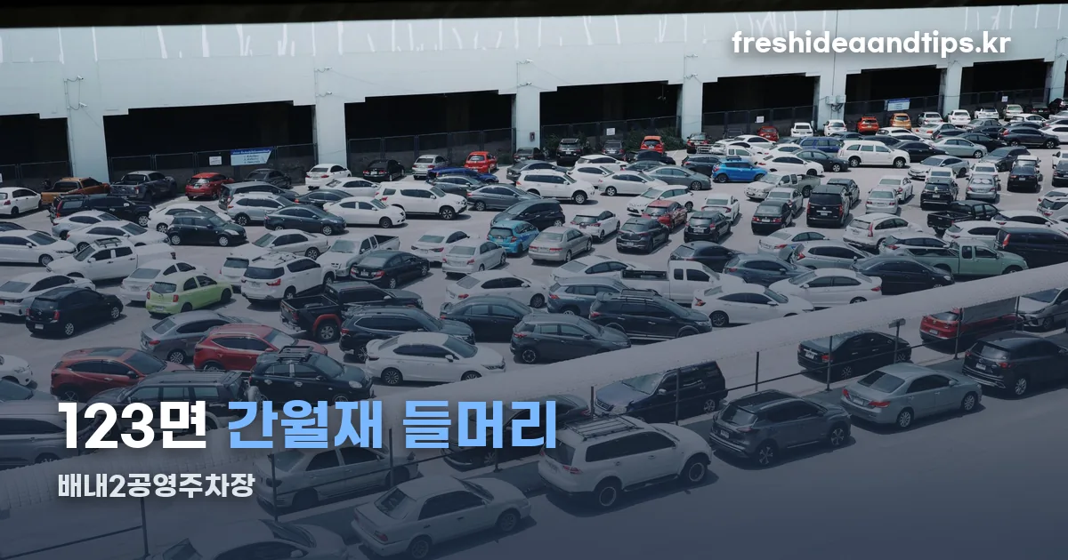 배내2공영주차장 정리 썸네일