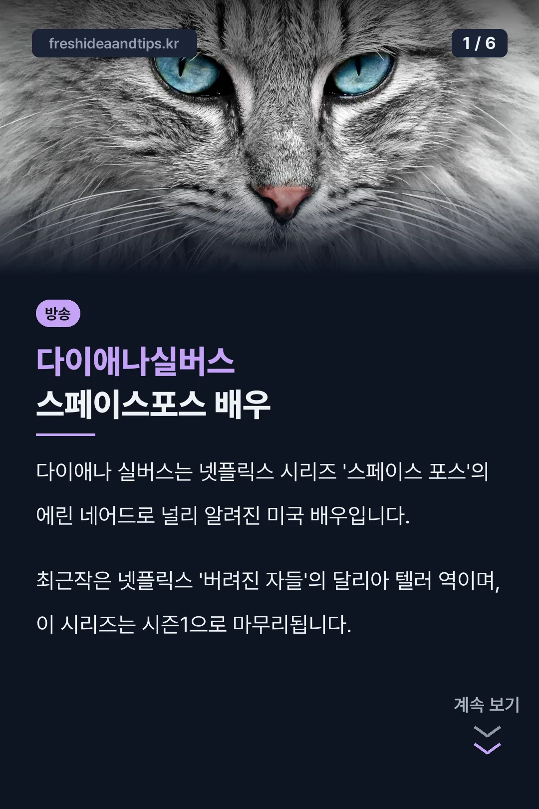 다이애나실버스 스페이스포스 배우