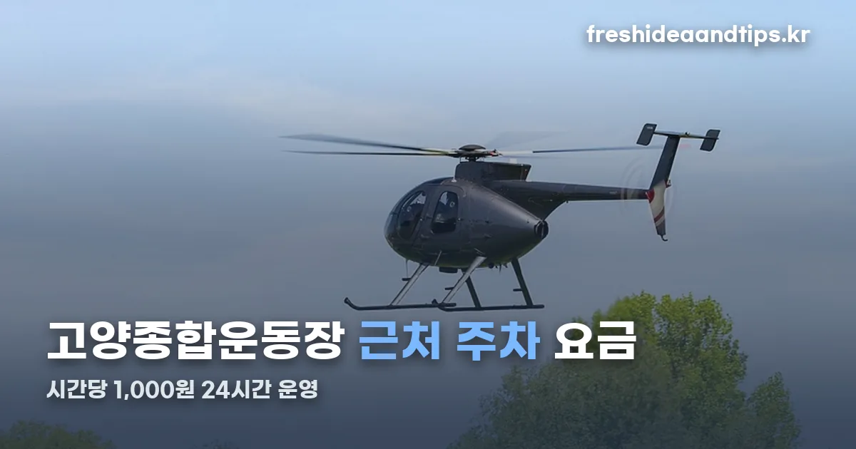 고양종합운동장 근처 주차 정리 썸네일