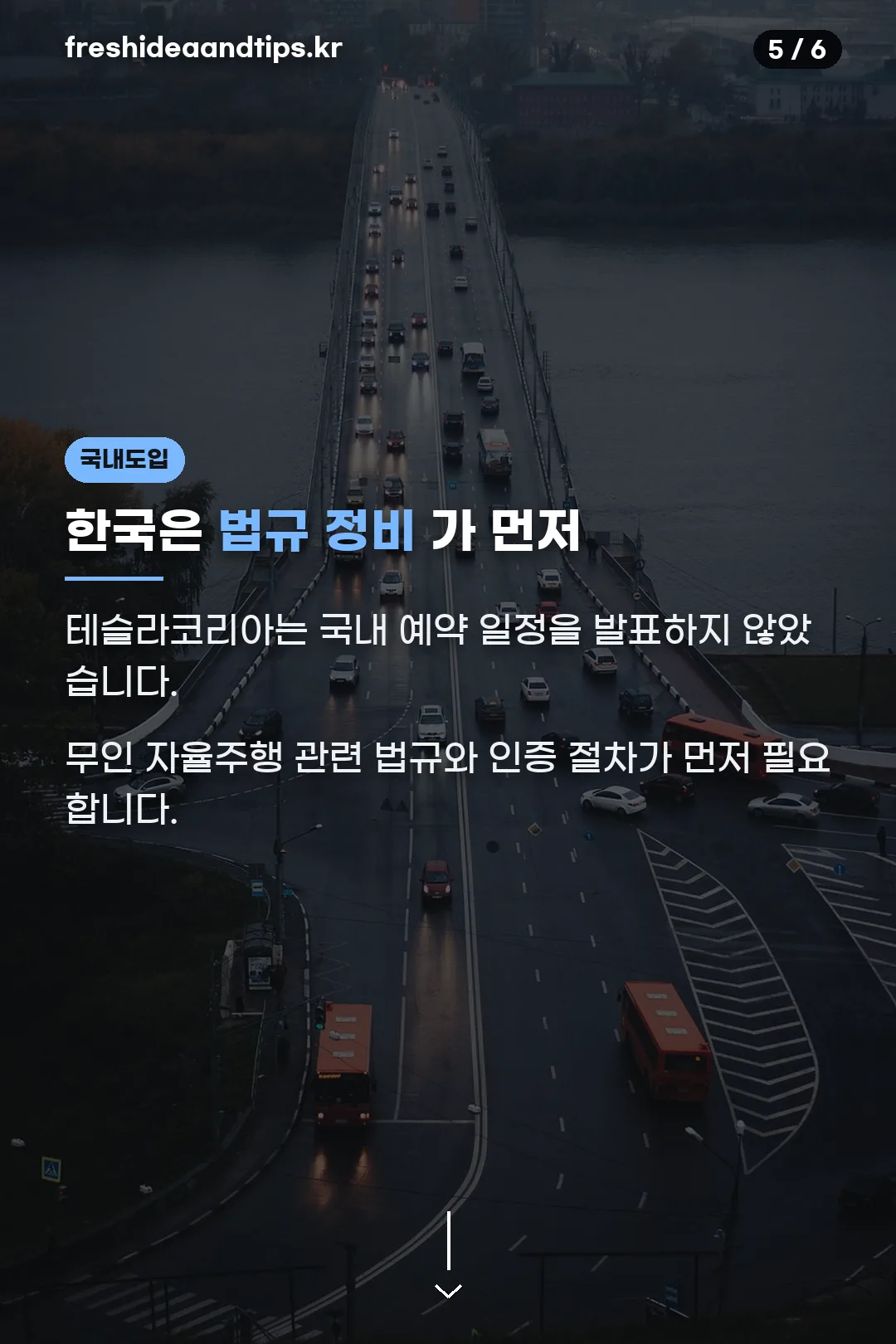 국내 도입 전망