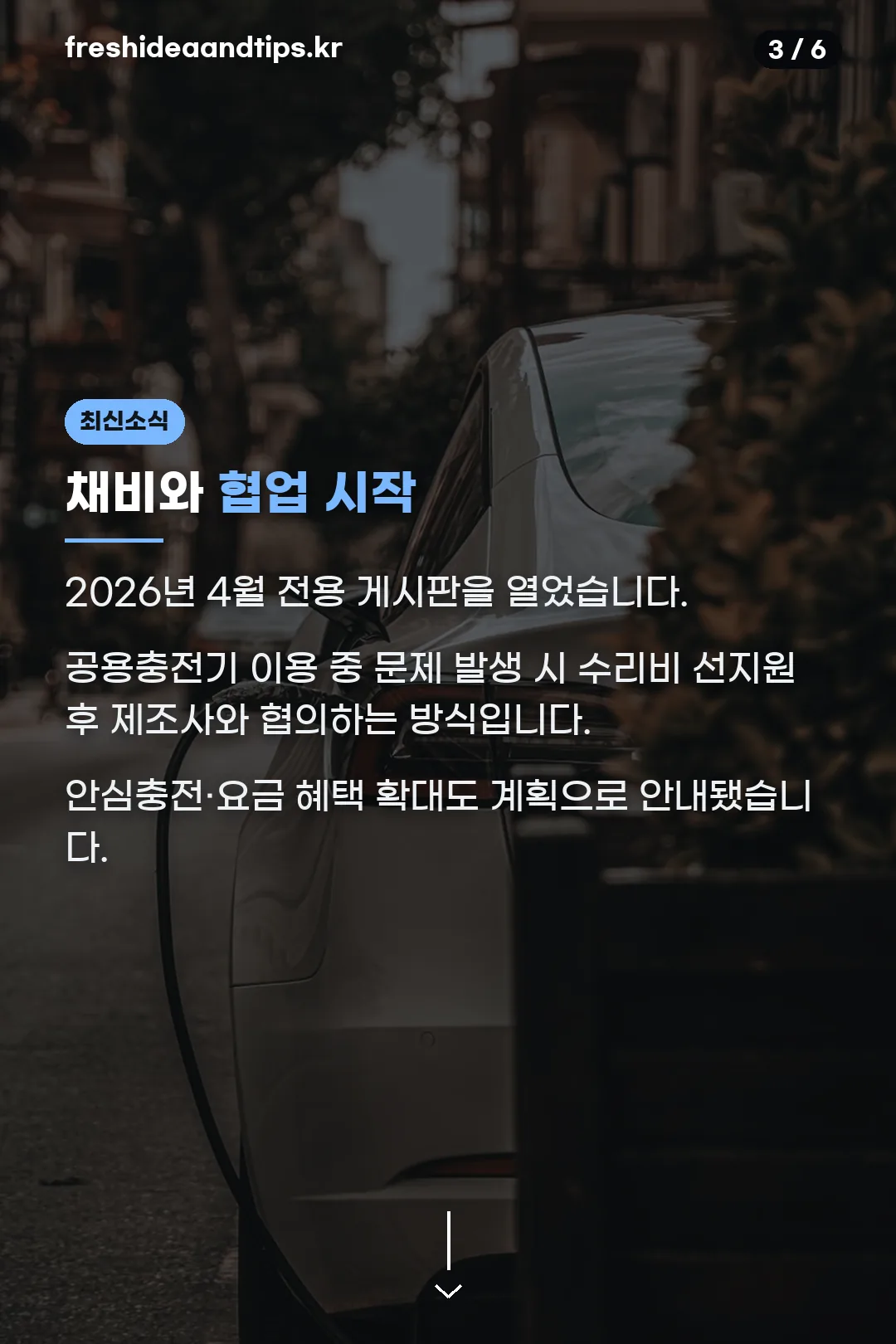 채비 협업 소식