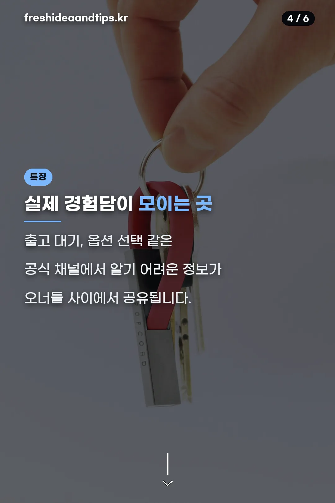 오너 경험담 공유