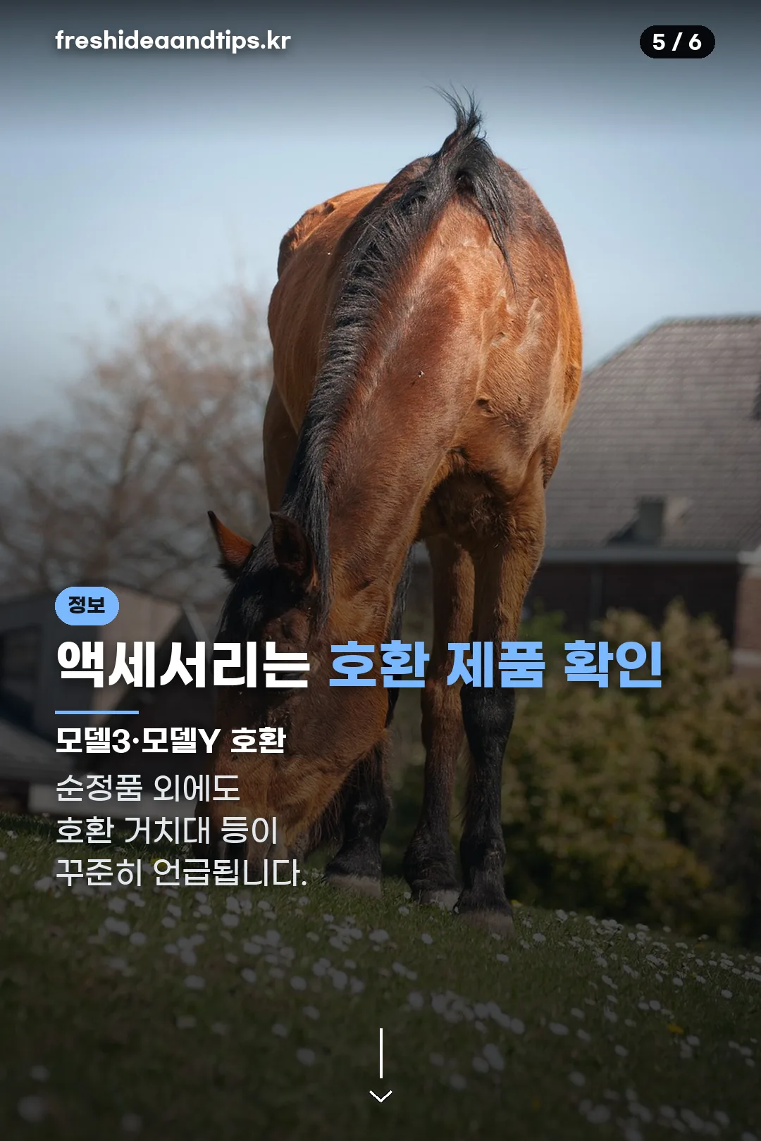 액세서리 호환 제품