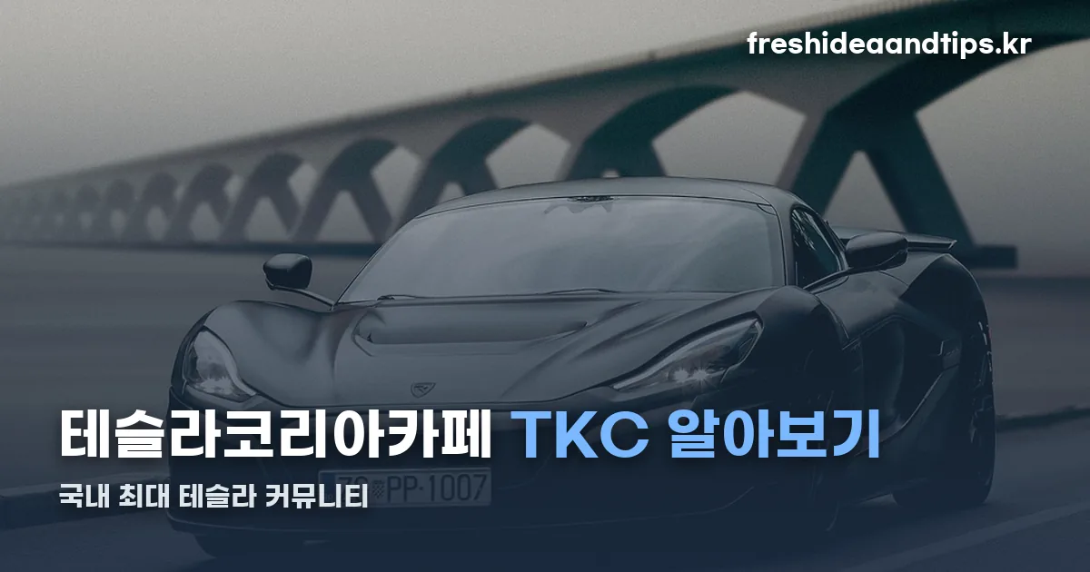 테슬라코리아카페 정리 썸네일