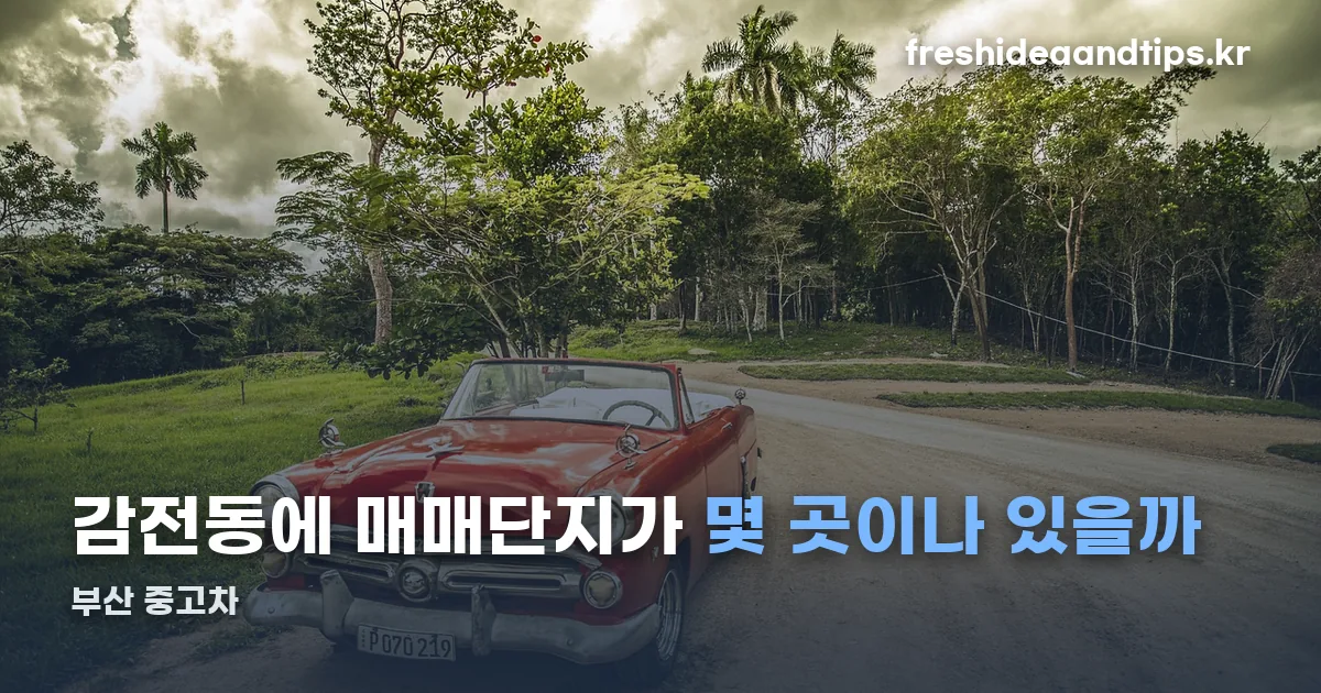 부산 중고차 정리 썸네일